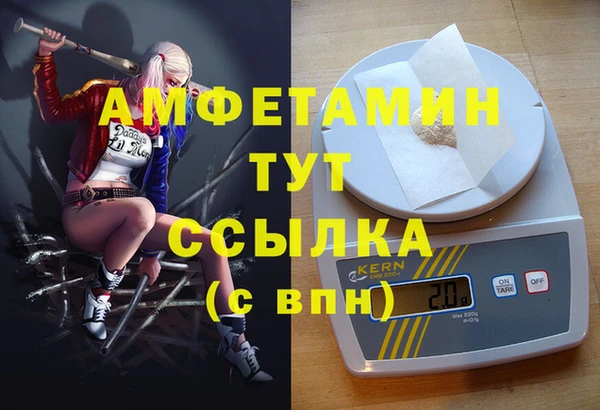 эйфоретик Покачи