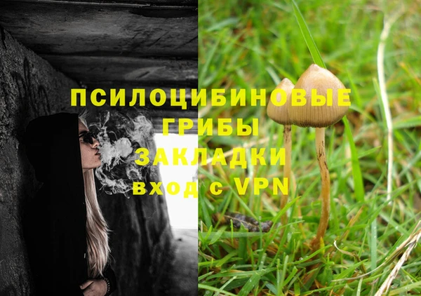 винт Алексеевка