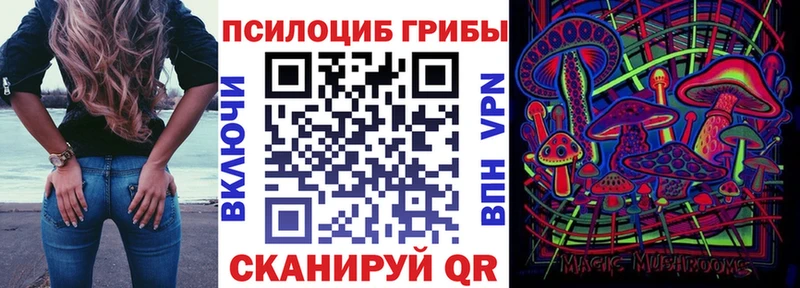 Псилоцибиновые грибы прущие грибы  Заинск 