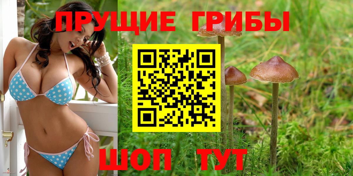 Псилоцибиновые грибы GOLDEN TEACHER Заинск