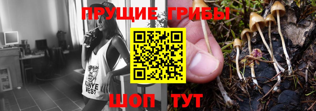 Заинск  Галлюциногенные грибы ЛСД  Вход с VPN 